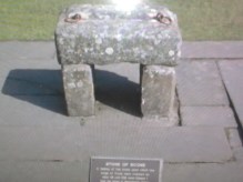Photo0203